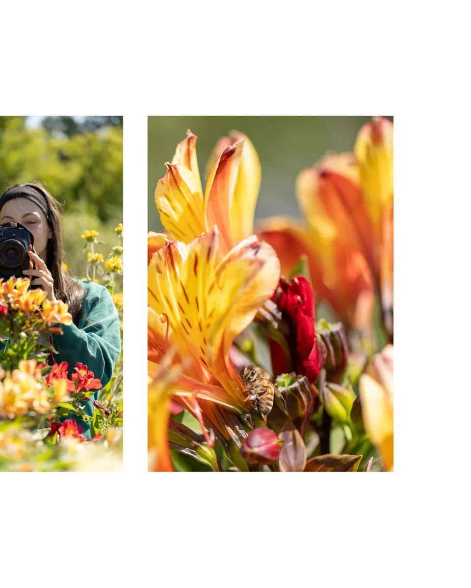 Diapositive 3 : des fleurs et une photographe