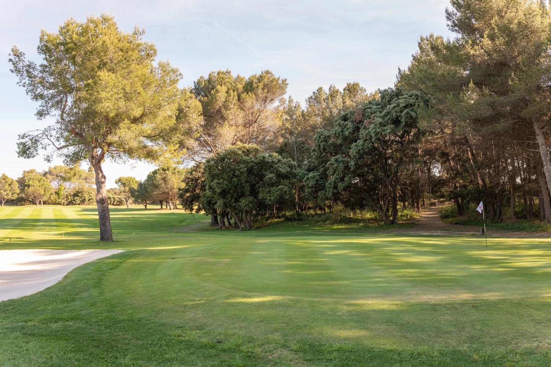 Un fairway bordé d’arbres