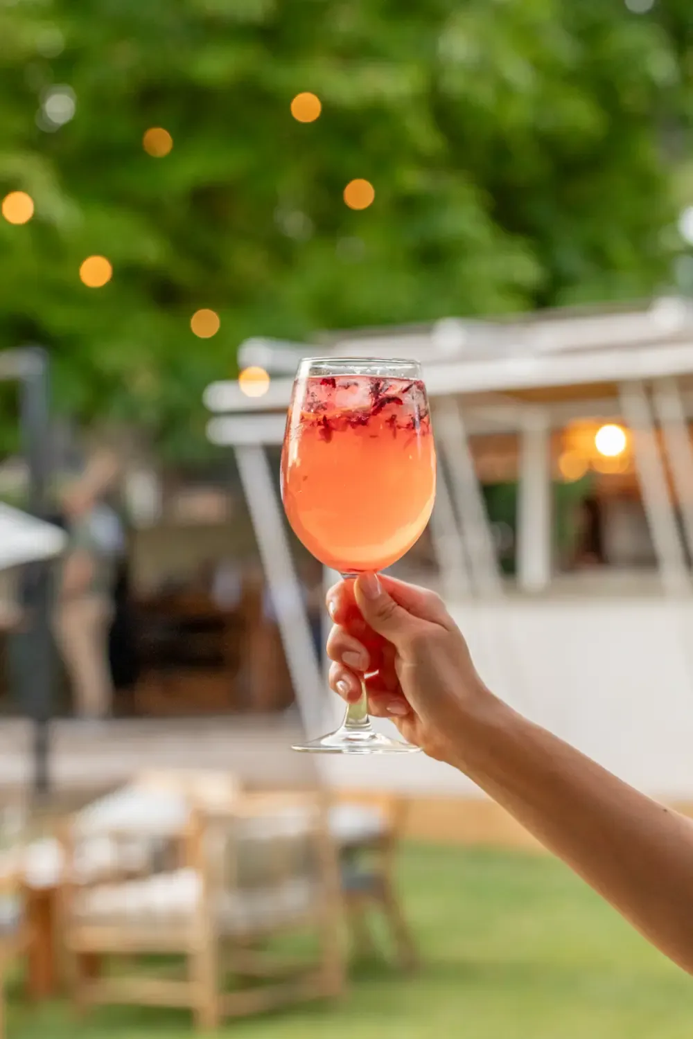 Verre de rosé tenu dans le jardin, Gaodina