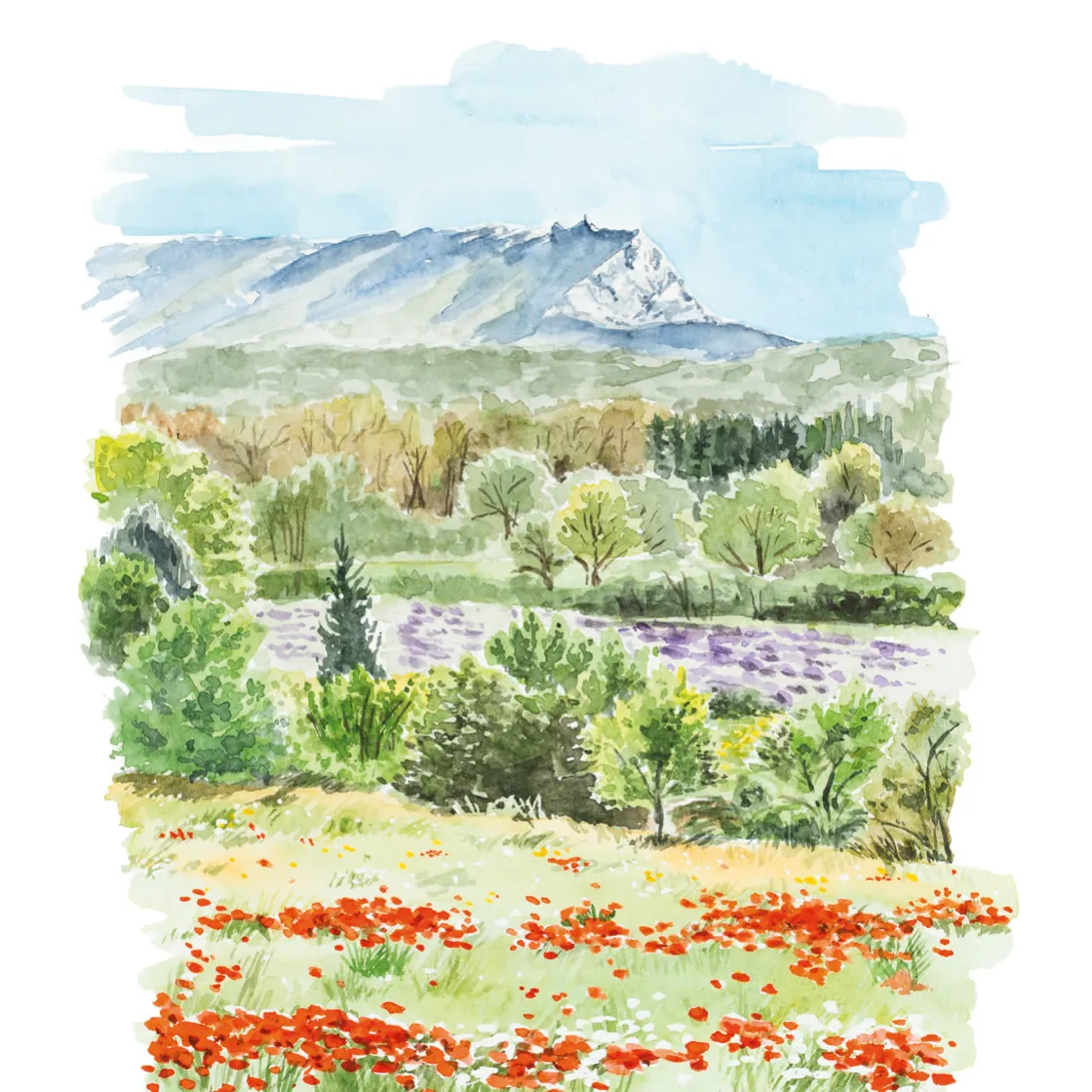 Aquarelle de l’édition 2026 : la Sainte-Victoire depuis Couteron