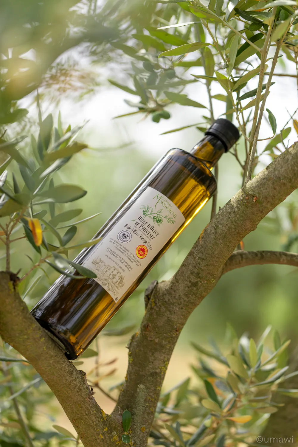Château Montaurone — shooting photo (2/5)