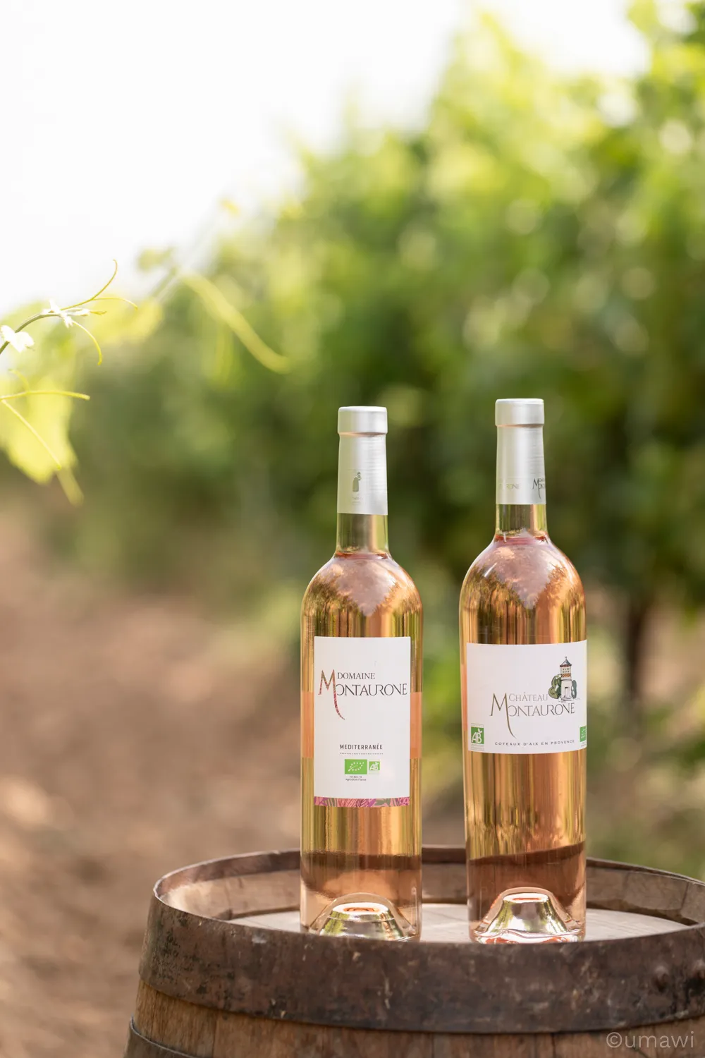 Château Montaurone — shooting photo (1/5)