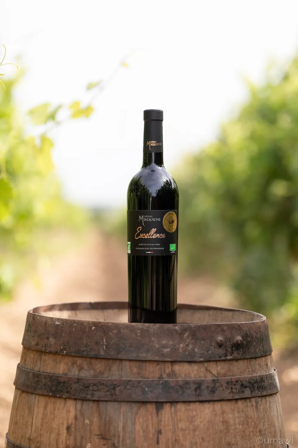Château Montaurone — shooting photo (3/5)