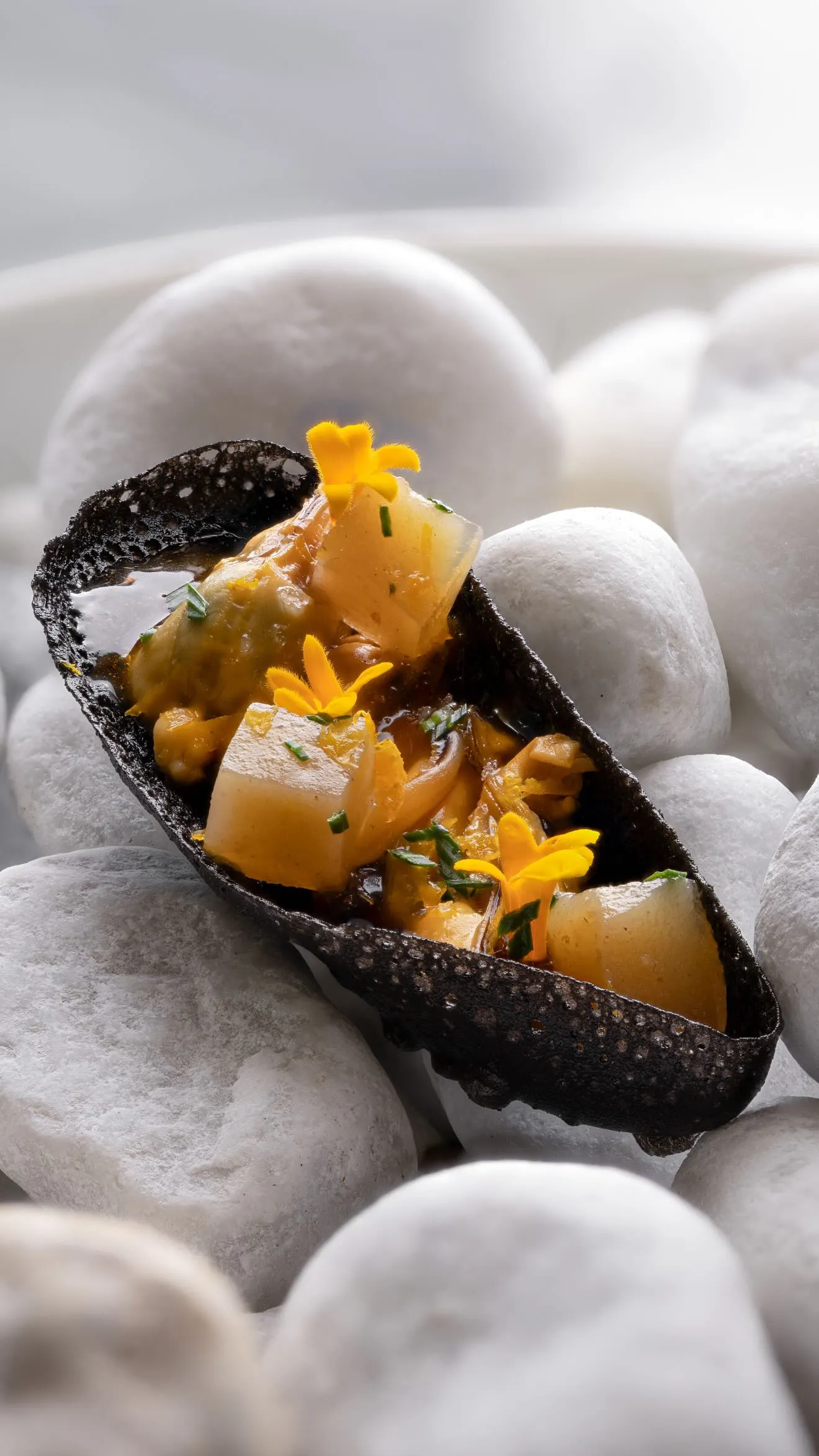 Une moule dans sa coque noire, cubes et fleurs jaunes, posée sur des galets blancs : macrophoto pour La Table de Pierre Reboul