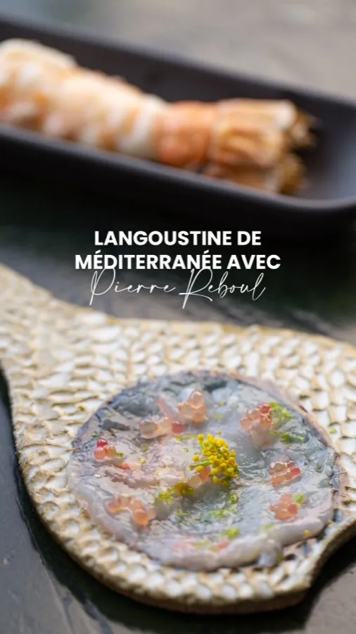 Miniature du réel : Langoustine de Méditerranée