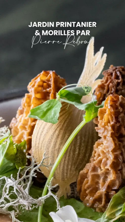 Miniature du réel : Jardin printanier & morilles