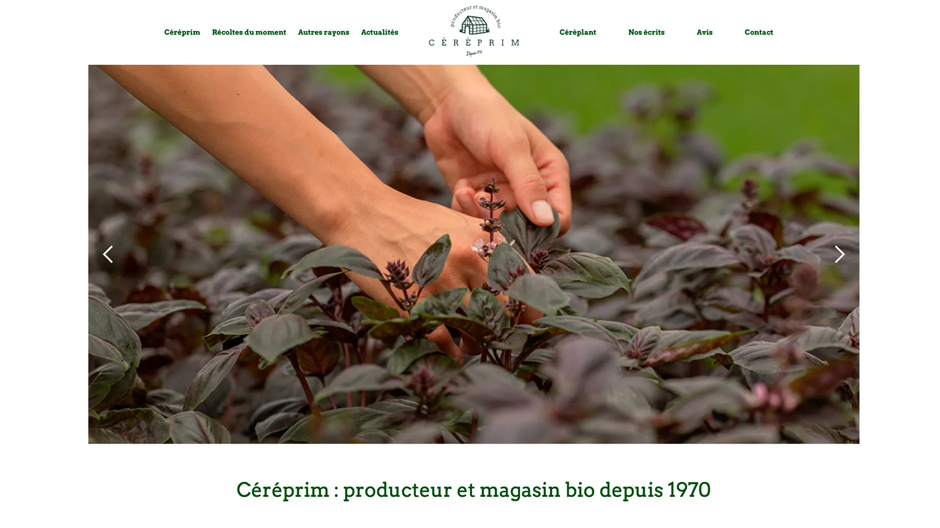 Site web de Céréprim, après, sur ordinateur