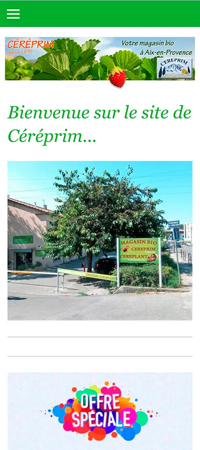 Site web de Céréprim, avant, sur téléphone