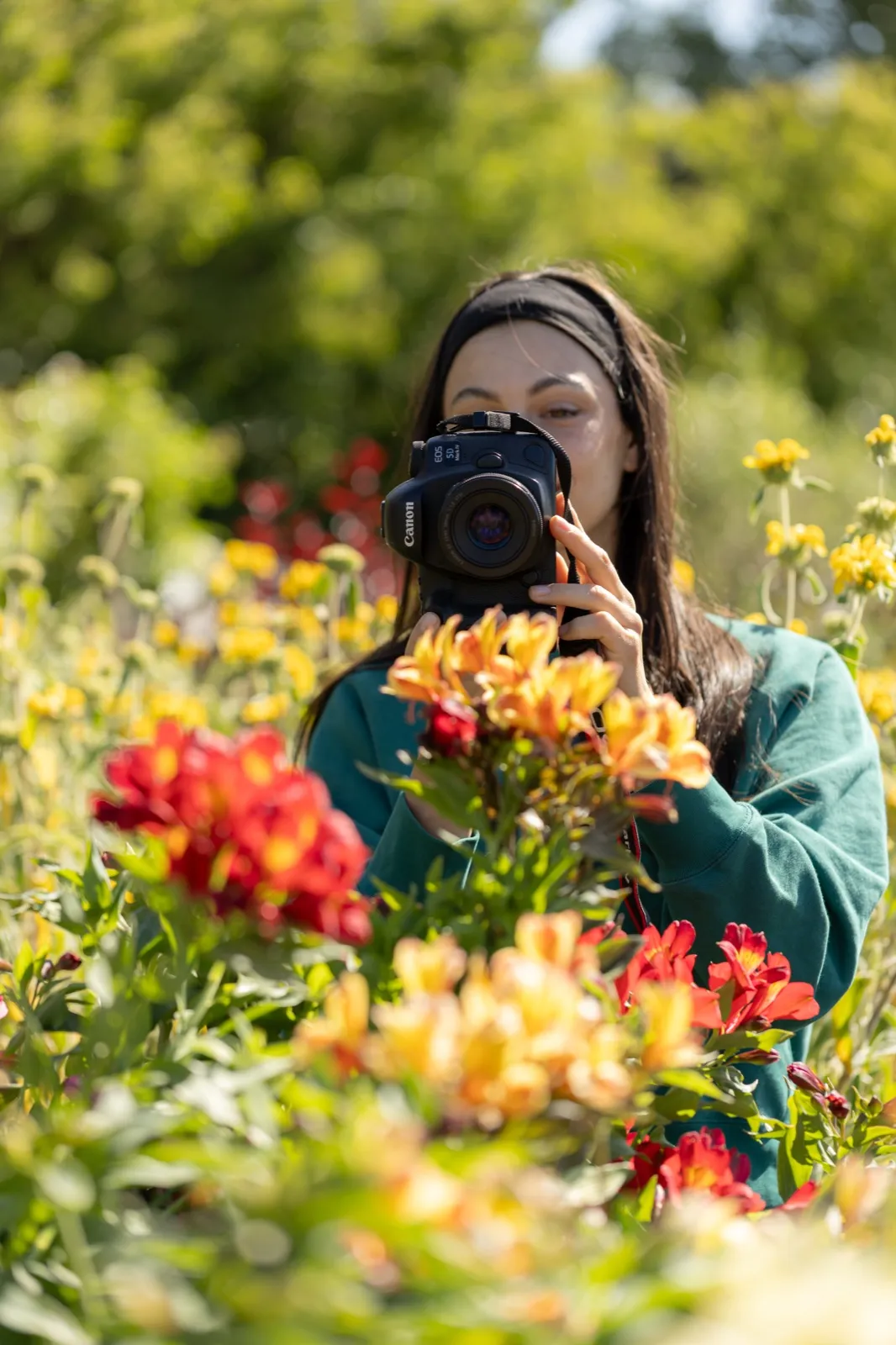 Une photographe entre les fleurs de la pépinière