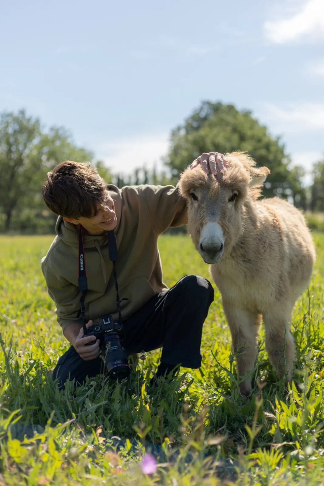 Un photographe accroupi près d’un poney