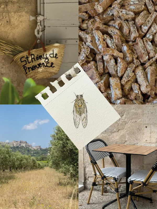 Publication : la cigale et Saint-Rémy-de-Provence