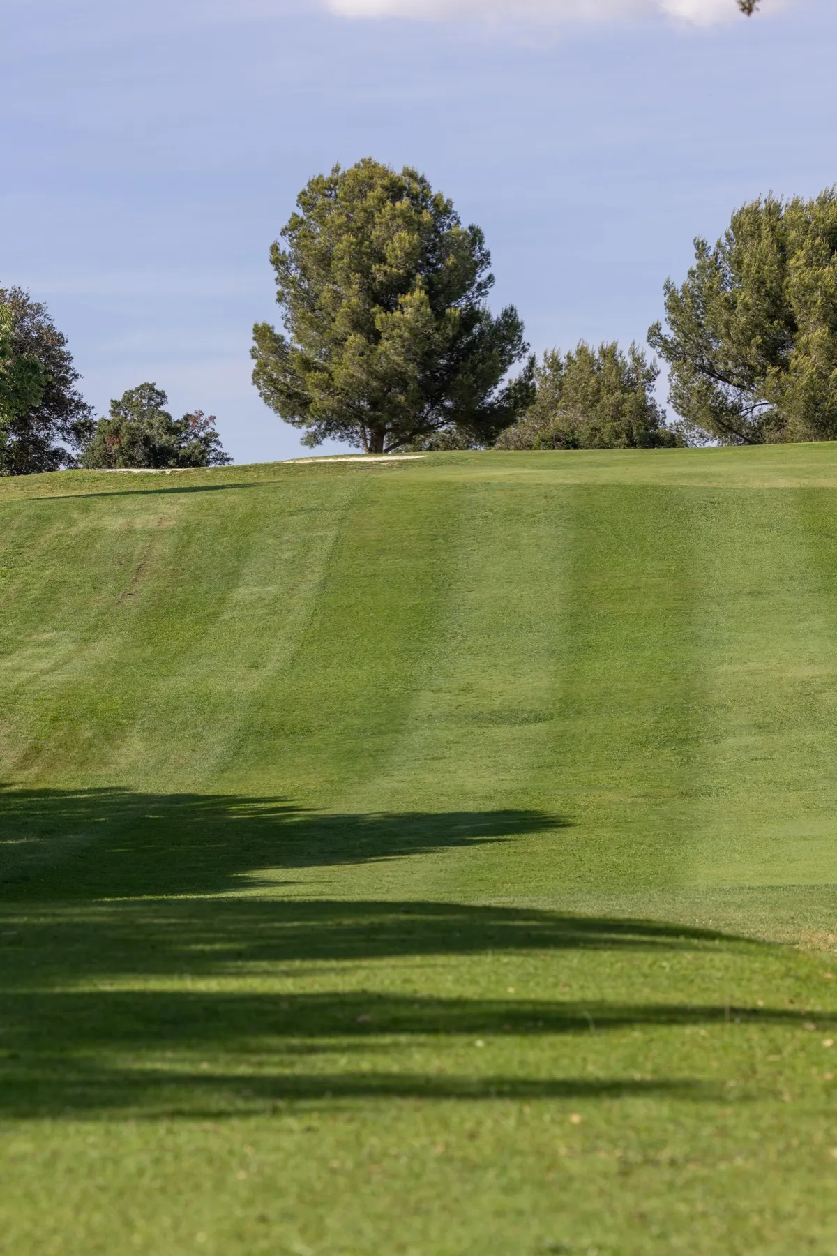Un fairway tondu en rayures