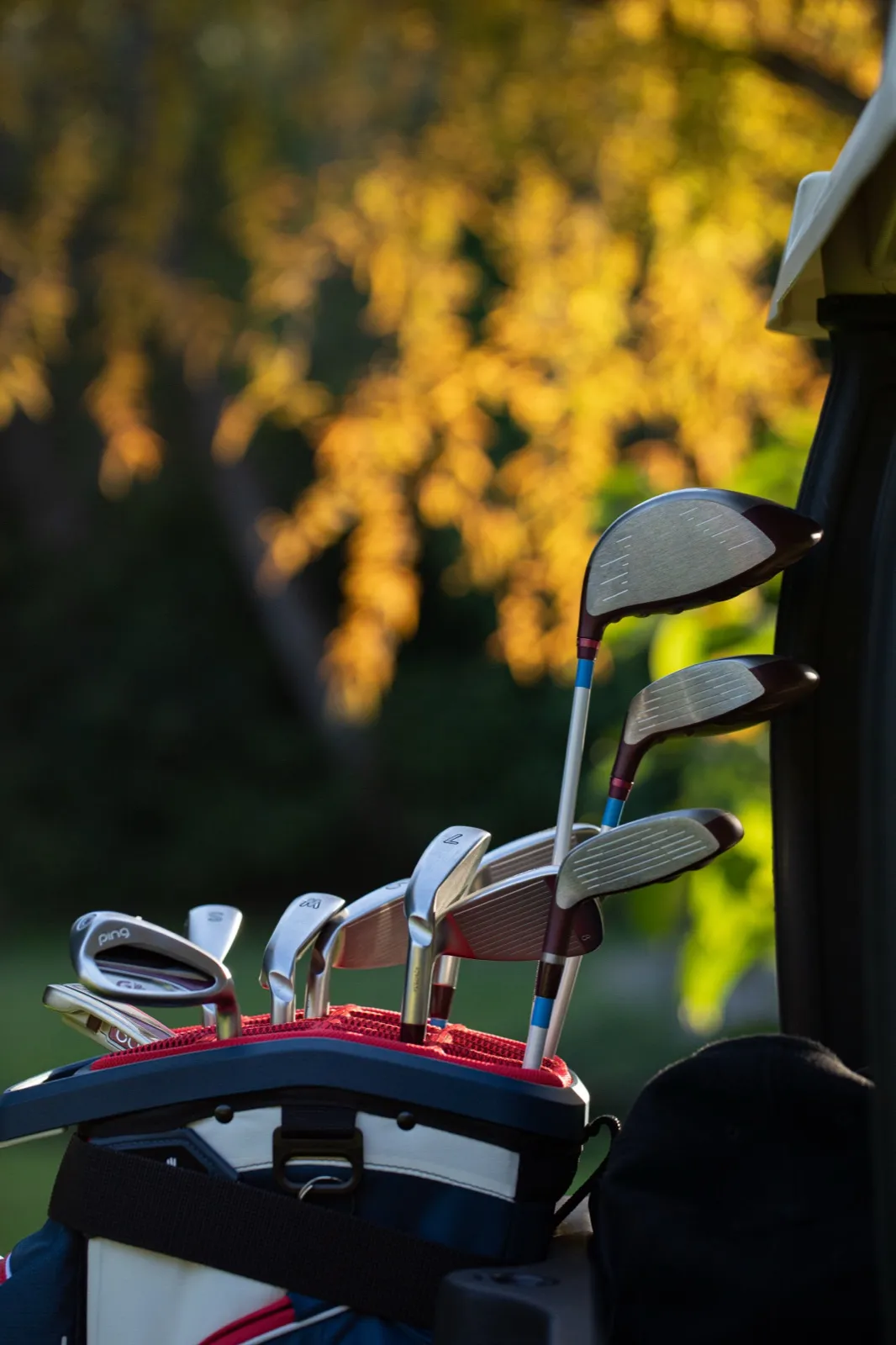 Un sac de golf dans la lumière d’automne